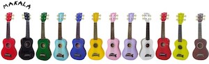 Makala Dolphin Bridge Ukulele with bag@Lowest price - Fiddle Violin Guitar