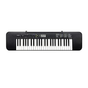 Casio CTK 240 Portable Keyboard 49 Keys - Fiddle Violin Guitar