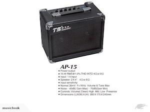 15w Acoustic Guitar Amp with Headphone Plug $89 - Fiddle Violin Guitar