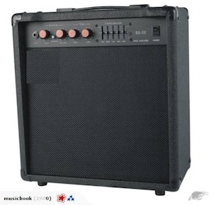 Brand New 30W Bass Amp only $119 - Fiddle Violin Guitar