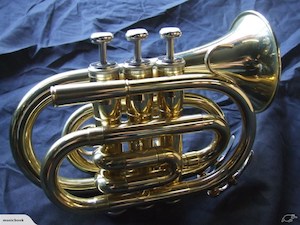 Brand New Lacquer Pocket Trumpet With Case - Fiddle Violin Guitar