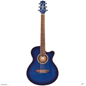 Brand New Ashton Acoustic Electric Guitar with build-in tuner - Fiddle Violin Guitar