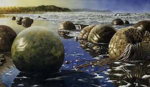 "Moeraki Boulders" - Paul Coney