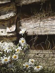 "Daisies & Boards" - Paul Coney