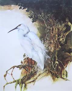 Internet only: "White Heron" - Bruce Harvey