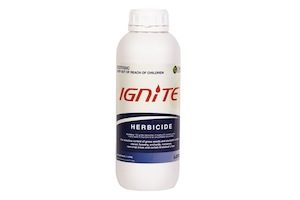 Ignite 1ltr