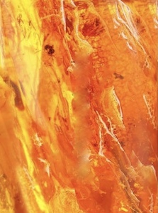 Jewellery manufacturing: Amber Essential Oil – Fire and Ice