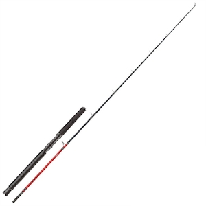 Products: Daiwa Saltist Hyper B66 80-200g Pe1-2 O/h