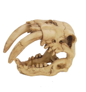 Saber Tooth Tiger Skull Aquarium Ornament