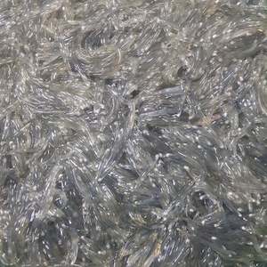 Frozen New Zealand Whitebait