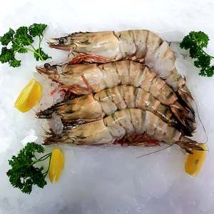 Jumbo Whole Black Tiger Prawns