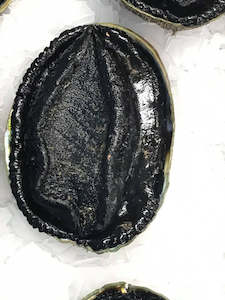 Frozen whole Paua 350-400 gram