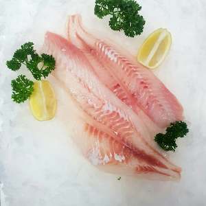 Tarakihi Fillets