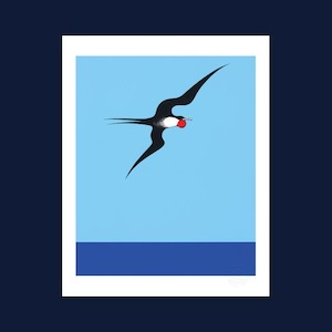 Pacific Frigate Bird print by Don Binney