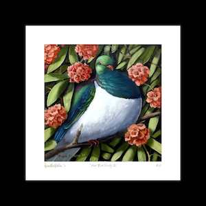 "Kereru Bird Study II" limited edition AP print by Frank Gordon