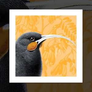 "Radiant Huia" pop art print