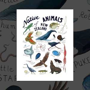 "Native Animals of New Zealand" art print by Pia Davie