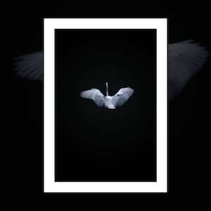 Christopher Hansen Art Prints: "The Heron" art print by Christopher Hansen