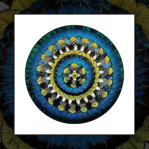 "Mandala 1" art print by Fiona Kerr Gedson