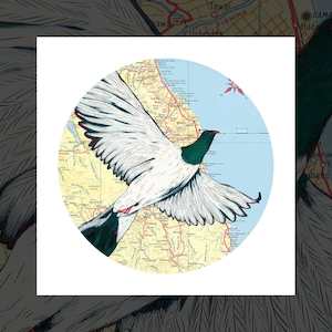 "Kereru over Kakanui" art print by Pia Davie