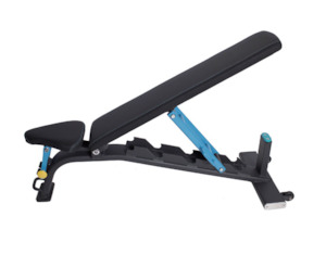 Proteam Full Commercial Grade Adjustable Exercise Bench