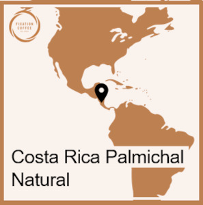 Chutneys or relishes: Costa Rica Palmichal Natural