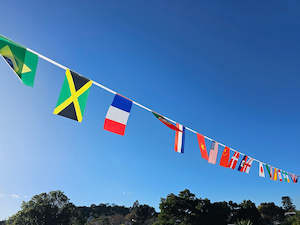 This Year's Women's World Cup Flag Bunting 10m 32 Teams