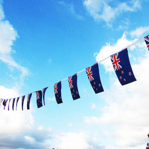 Flag or banner: New Zealand Flag Bunting 10m