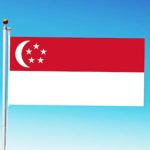 Premium Singapore Flag NZ Standard Size