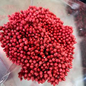 Dried flower: Rice Flower Red