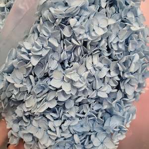 Hydrangea Small Petal - Pale Blue