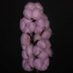 Cotton Bunches Purple