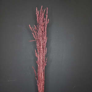 Dried flower: Cocksfoot Grass-NZ Burgundy