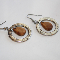 Silver Hoop Kauri