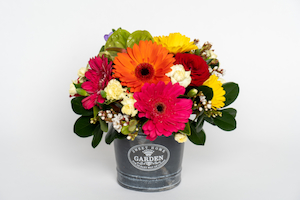 Florist: Bright Pot Arrangement