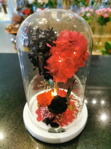 preserved flowers glassed arrangement