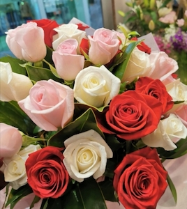 mixed roses