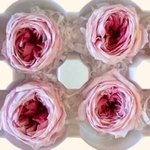 Flower: Preserved Rose Temari Mille-feuille