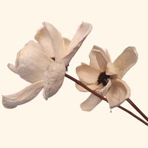 Flower: Handmade Flower Magnolia