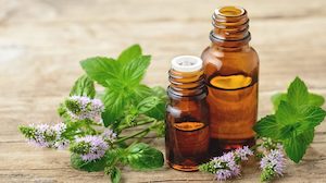 Aromatherapy oils: PEPPERMINT pure essential oil - 12 mL