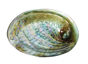 Moana Rd Paua Bowl - Medium