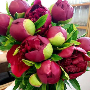 Peonies!