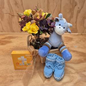 Small Baby Boy gift basket