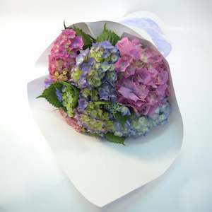 Flower: Heavenly Hydrangeas