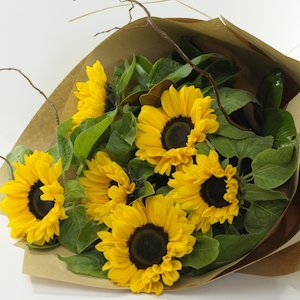 Flower: Stunning Sunflowers