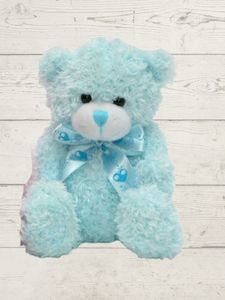 Lindsay blue teddy (H)