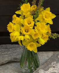 Florist: Darling Daffodils