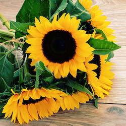 Sunflowers