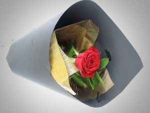 Flower: Single red rose