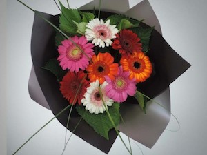 Gerbera Delight